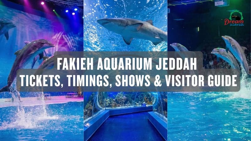 Fakieh Aquarium Jeddah – Tickets, Timings, Shows & Visitor Guide